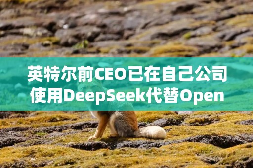 英特尔前CEO已在自己公司使用DeepSeek代替OpenAI