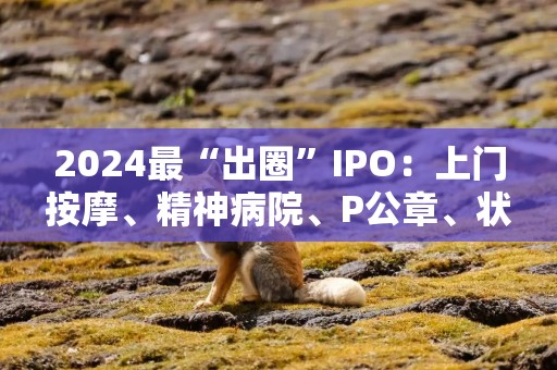 2024最“出圈”IPO：上门按摩、精神病院、P公章、状告交易所……