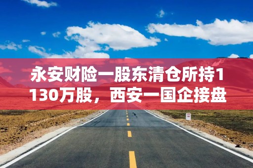 永安财险一股东清仓所持1130万股，西安一国企接盘