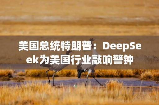 美国总统特朗普：DeepSeek为美国行业敲响警钟