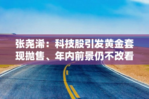 张尧浠：科技股引发黄金套现抛售、年内前景仍不改看涨