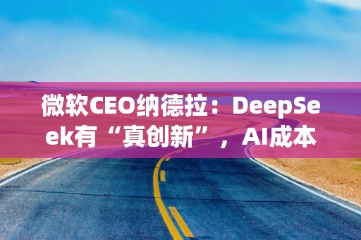 微软CEO纳德拉：DeepSeek有“真创新”，AI成本下降是趋势