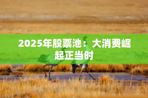 2025年股票池：大消费崛起正当时