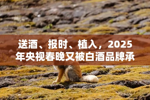 送酒、报时、植入，2025年央视春晚又被白酒品牌承包了