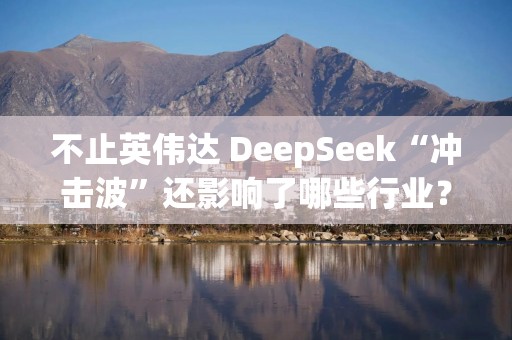 不止英伟达 DeepSeek“冲击波”还影响了哪些行业？