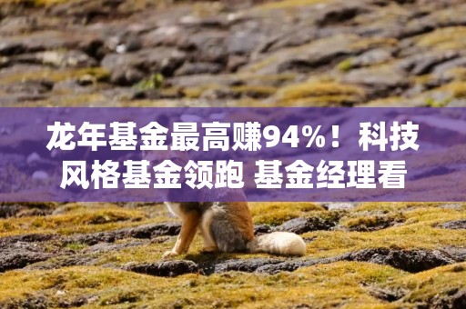 龙年基金最高赚94%！科技风格基金领跑 基金经理看好后市