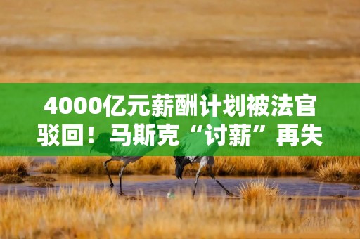 4000亿元薪酬计划被法官驳回！马斯克“讨薪”再失败！特斯拉还要支付25亿元律师费