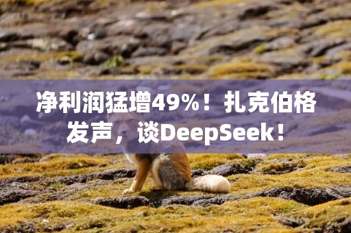 净利润猛增49%！扎克伯格发声，谈DeepSeek！