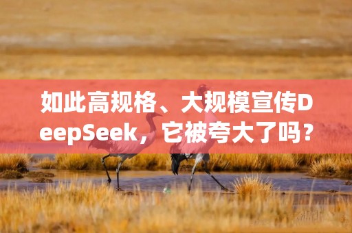 如此高规格、大规模宣传DeepSeek，它被夸大了吗？