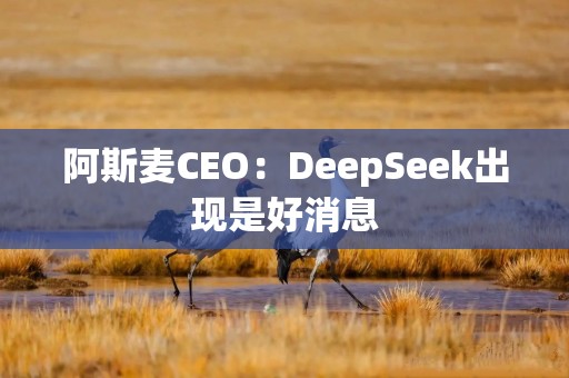 阿斯麦CEO：DeepSeek出现是好消息