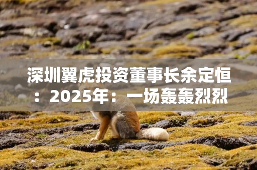 深圳翼虎投资董事长余定恒：2025年：一场轰轰烈烈的结构性牛市即将登场