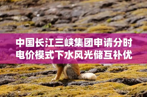 中国长江三峡集团申请分时电价模式下水风光储互补优化调度专利，能够更全面地实现水风光储互补系统的互补优化调度