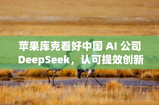 苹果库克看好中国 AI 公司 DeepSeek，认可提效创新模式