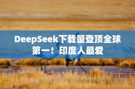 DeepSeek下载量登顶全球第一！印度人最爱