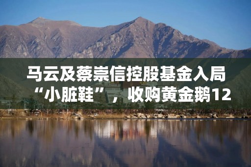 马云及蔡崇信控股基金入局“小脏鞋”，收购黄金鹅12%股权