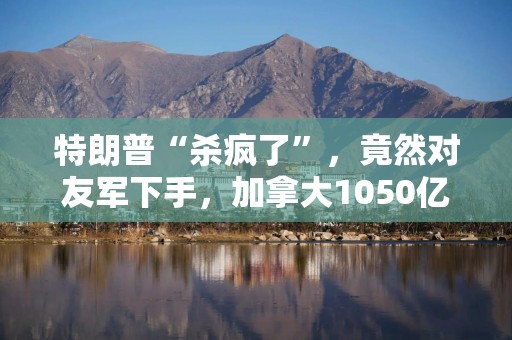 特朗普“杀疯了”，竟然对友军下手，加拿大1050亿美元已备好！