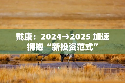 戴康：2024→2025 加速拥抱“新投资范式”