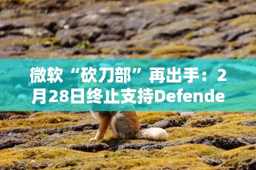 微软“砍刀部”再出手：2月28日终止支持Defender隐私保护功能