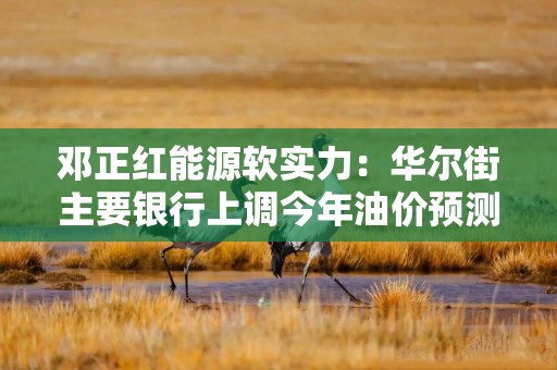 邓正红能源软实力：华尔街主要银行上调今年油价预测 原油市场承压油价走低