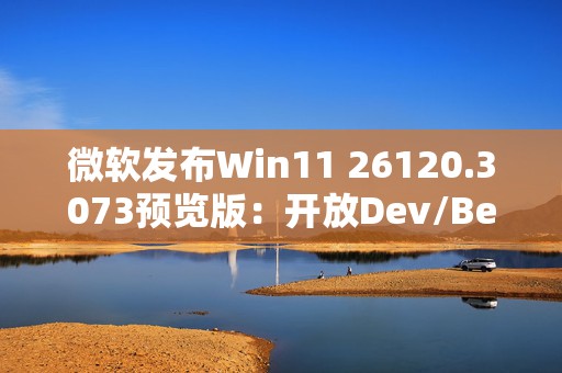 微软发布Win11 26120.3073预览版：开放Dev/Beta切换