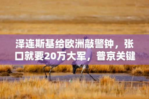 泽连斯基给欧洲敲警钟，张口就要20万大军，普京关键时刻暗度陈仓