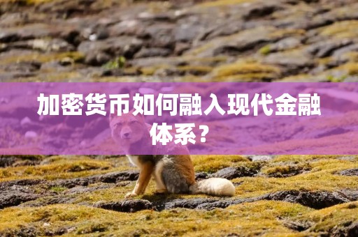 加密货币如何融入现代金融体系？