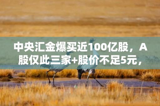 中央汇金爆买近100亿股，A股仅此三家+股价不足5元，2025或将率先爆发