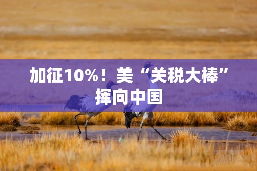 加征10%！美“关税大棒”挥向中国