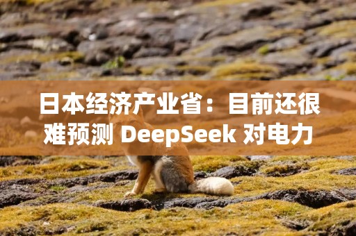 日本经济产业省：目前还很难预测 DeepSeek 对电力需求的潜在影响