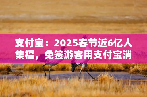 支付宝：2025春节近6亿人集福，免签游客用支付宝消费增2倍