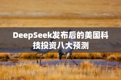 DeepSeek发布后的美国科技投资八大预测