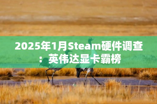 2025年1月Steam硬件调查：英伟达显卡霸榜