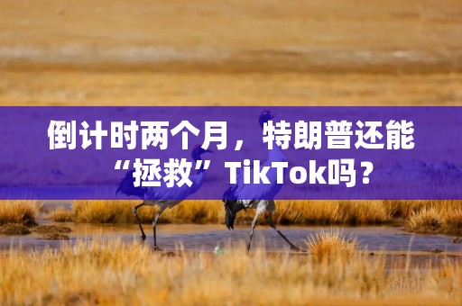 倒计时两个月，特朗普还能“拯救”TikTok吗？