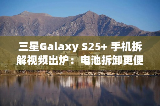 三星Galaxy S25+ 手机拆解视频出炉：电池拆卸更便捷