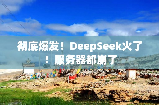 彻底爆发！DeepSeek火了！服务器都崩了