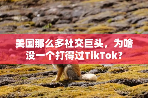 美国那么多社交巨头，为啥没一个打得过TikTok？