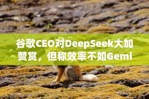 谷歌CEO对DeepSeek大加赞赏，但称效率不如Gemini