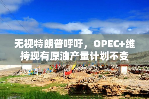 无视特朗普呼吁，OPEC+维持现有原油产量计划不变