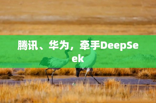 腾讯、华为，牵手DeepSeek