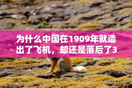 为什么中国在1909年就造出了飞机，却还是落后了30年？