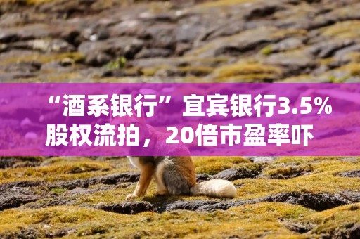 “酒系银行”宜宾银行3.5%股权流拍，20倍市盈率吓退买家