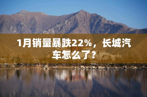 1月销量暴跌22%，长城汽车怎么了？