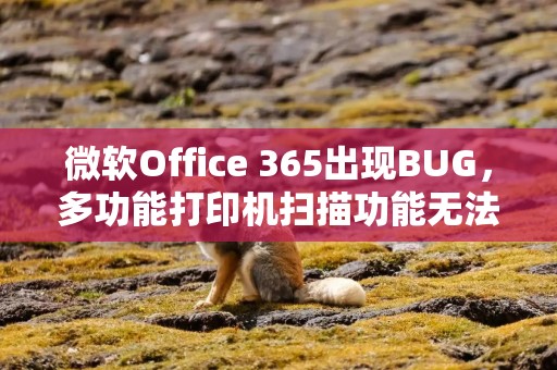 微软Office 365出现BUG，多功能打印机扫描功能无法连接服务器