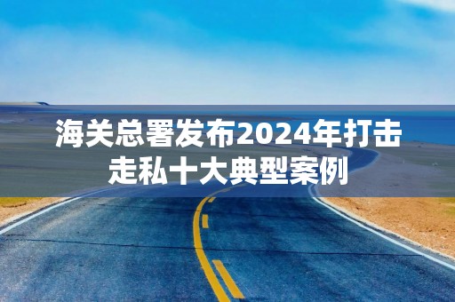 海关总署发布2024年打击走私十大典型案例