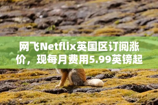 网飞Netflix英国区订阅涨价，现每月费用5.99英镑起