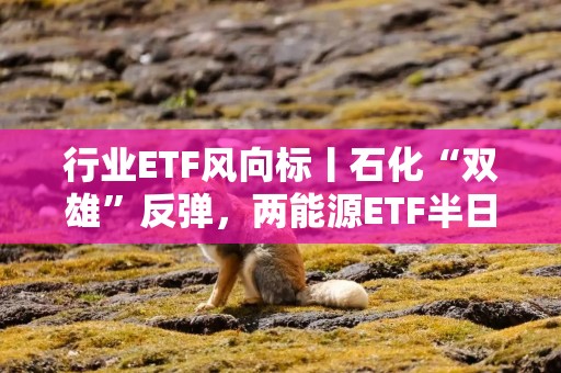 行业ETF风向标丨石化“双雄”反弹，两能源ETF半日涨幅超2%