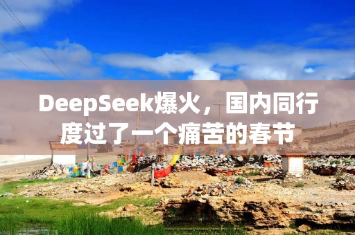 DeepSeek爆火，国内同行度过了一个痛苦的春节