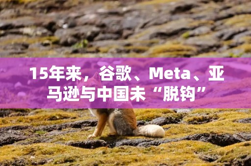 15年来，谷歌、Meta、亚马逊与中国未“脱钩”