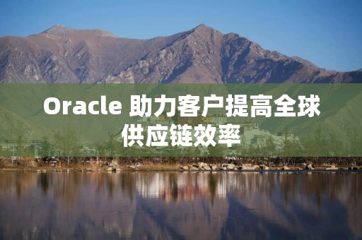 Oracle 助力客户提高全球供应链效率