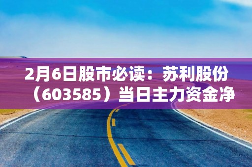 2月6日股市必读：苏利股份（603585）当日主力资金净流入119.78万元，占总成交额6.17%